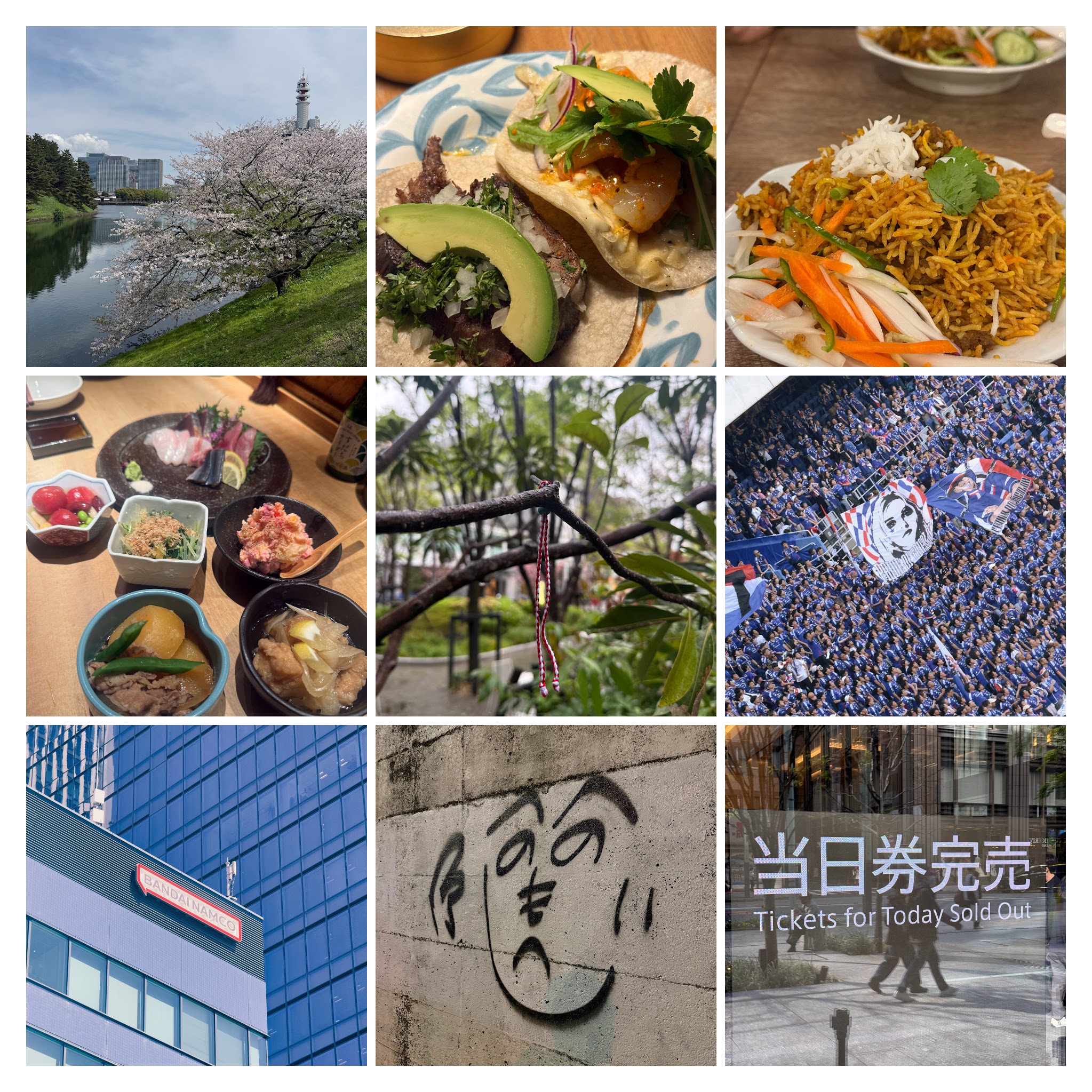 Collage of week 15, 2026