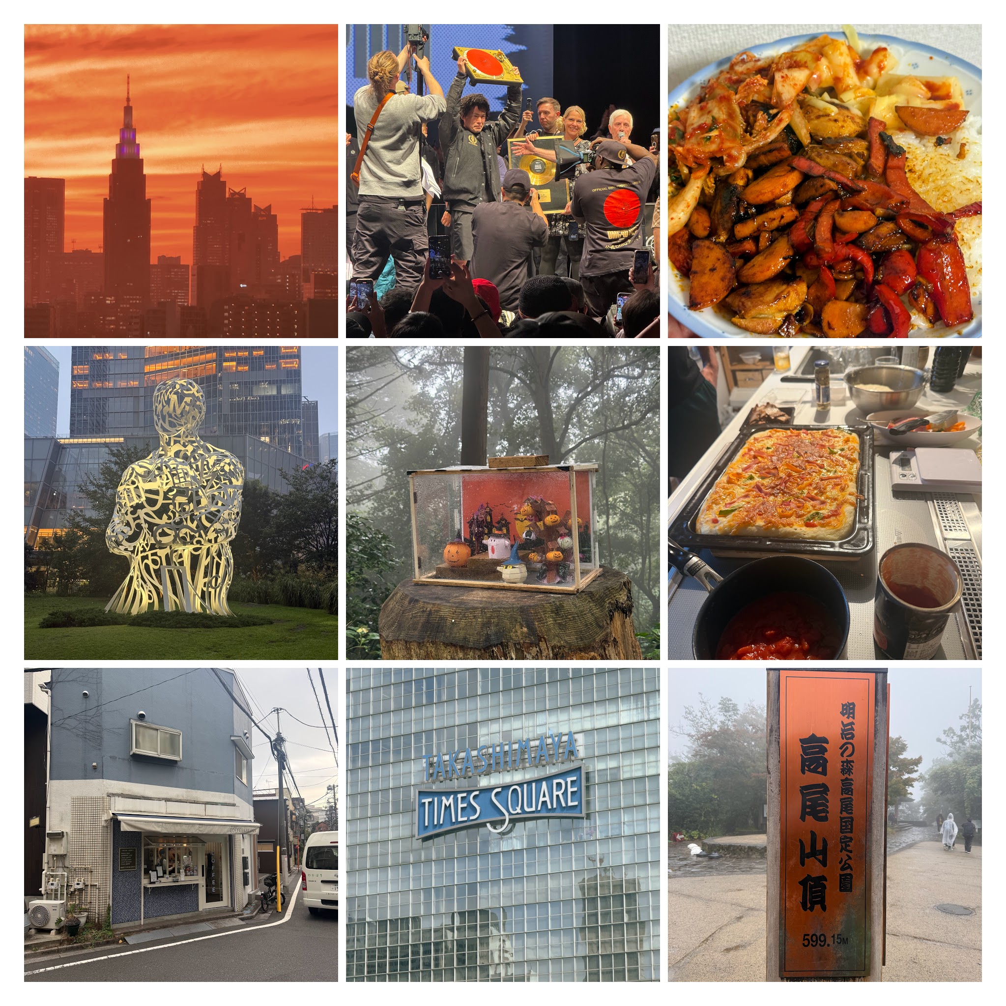 Collage of week 41, 2025