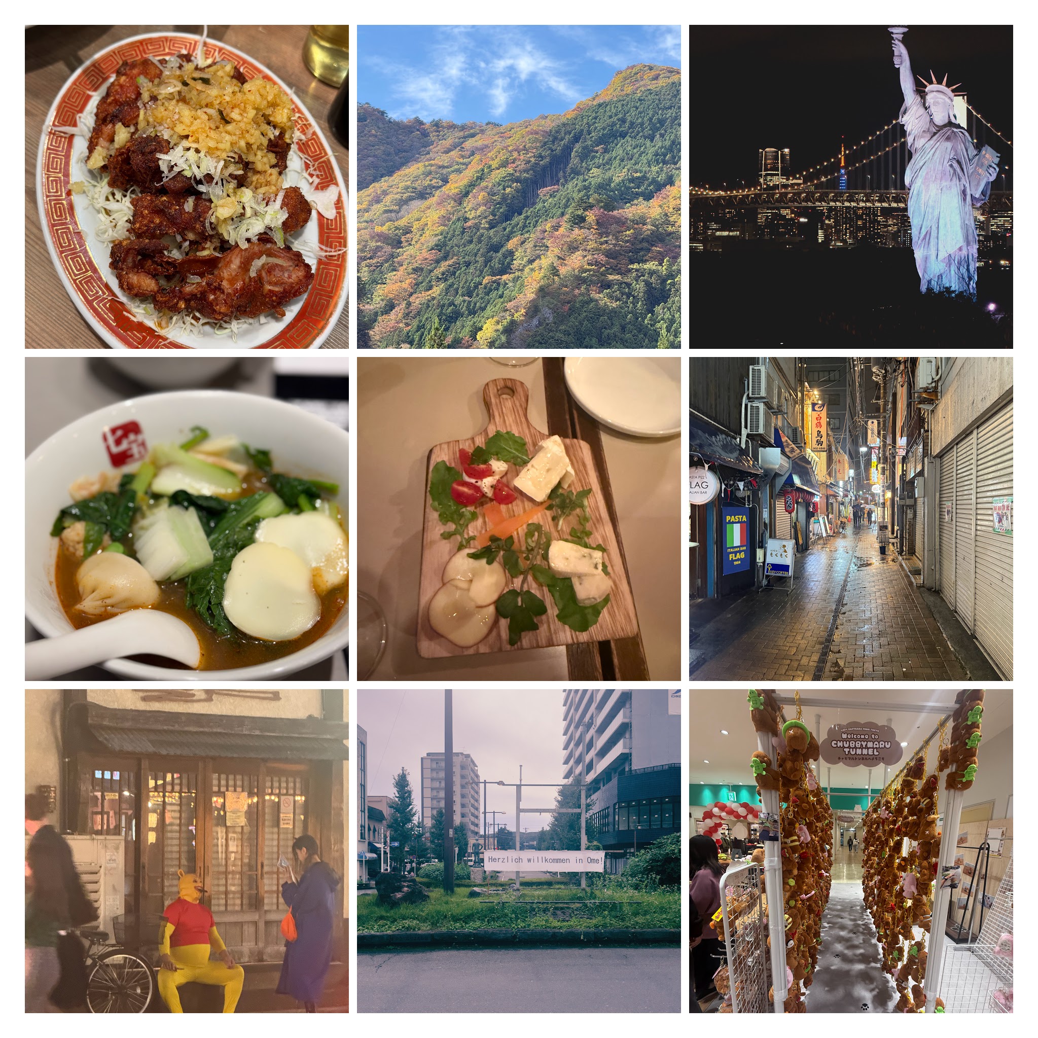 Collage of week 45, 2025