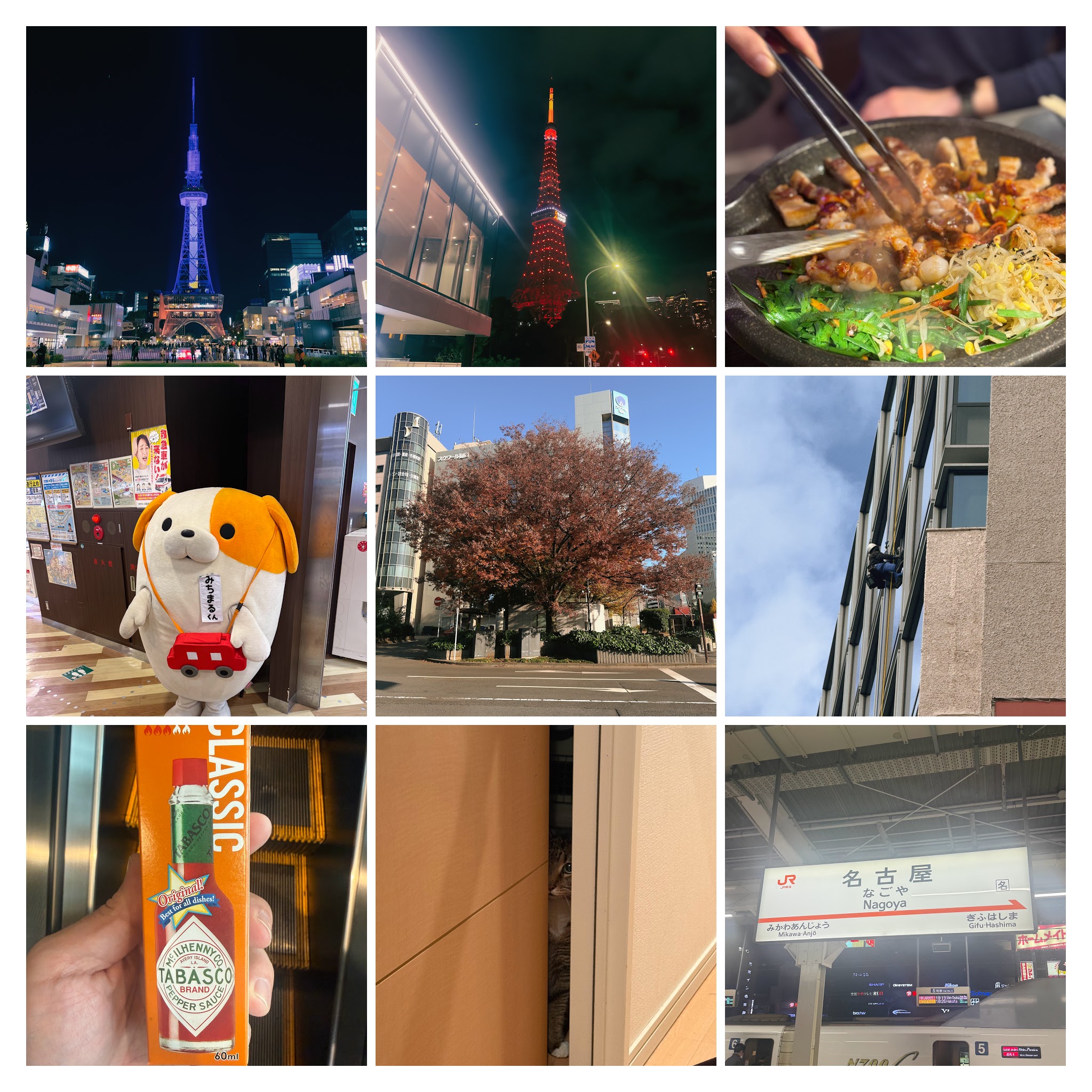 Collage of Week 47, 2025