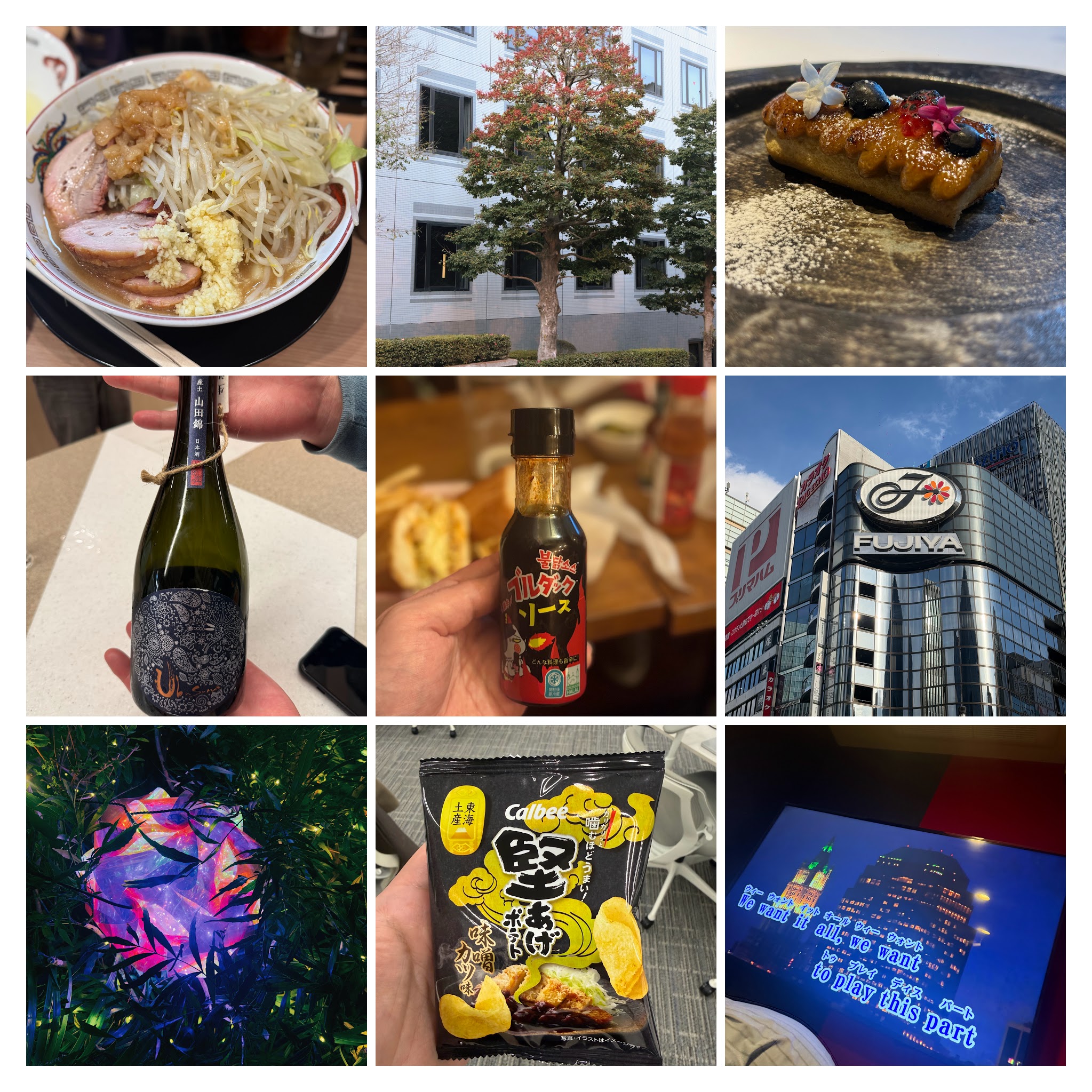 Collage of week 5, 2026